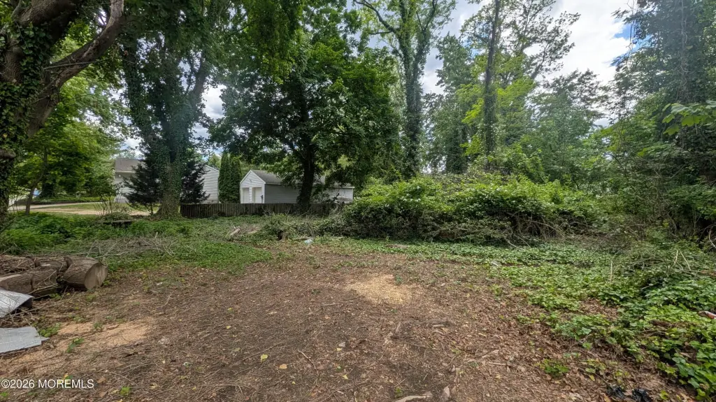 Picture 2