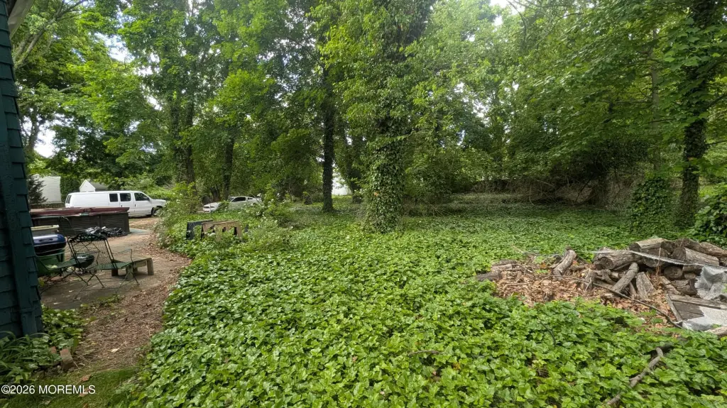 Picture 6