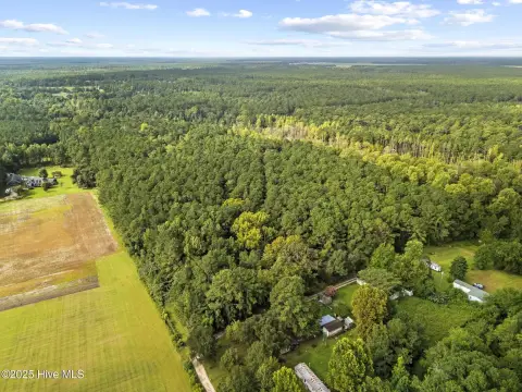34.7 Acres Wooded Land