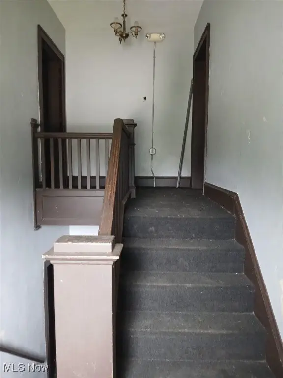 Picture 42