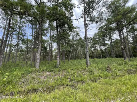 Southport, NC Homesite