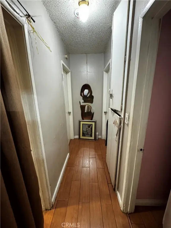 Picture 11