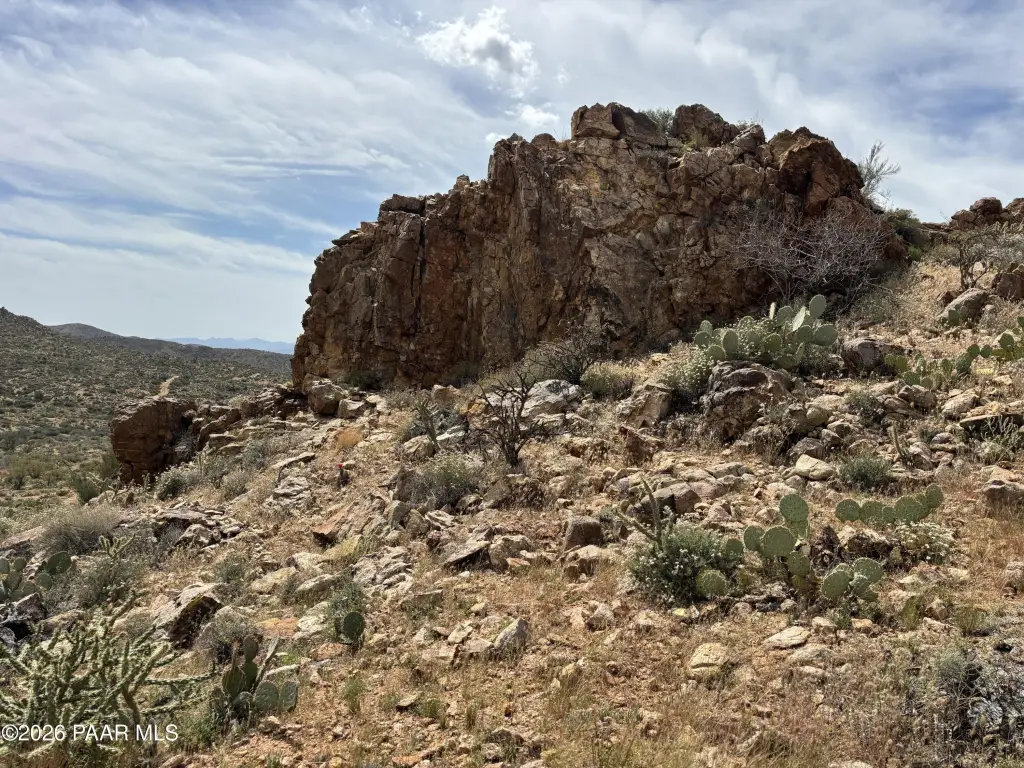 Picture 51