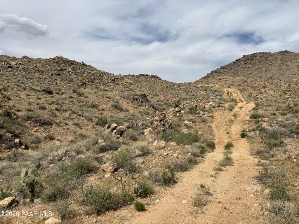 Picture 29