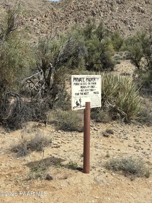 Picture 41