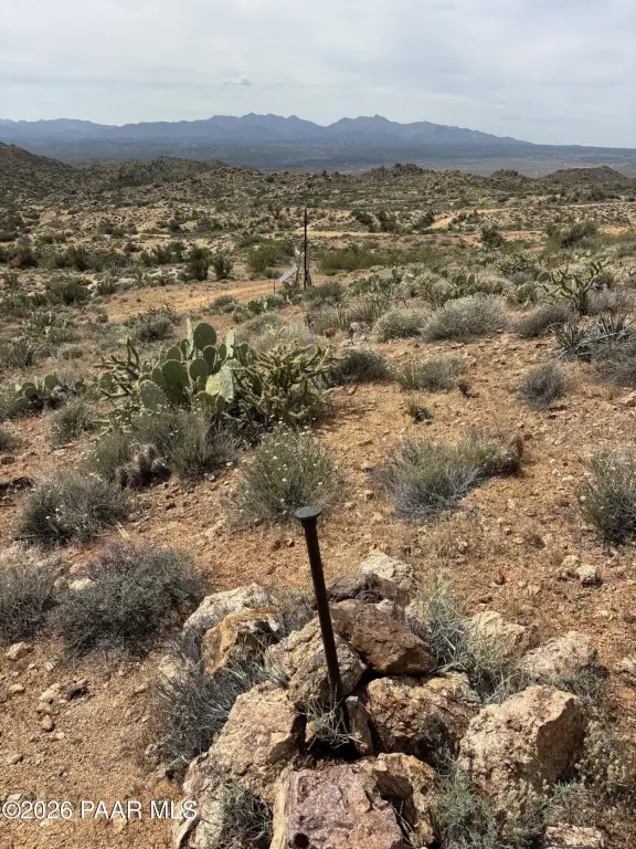 Picture 21