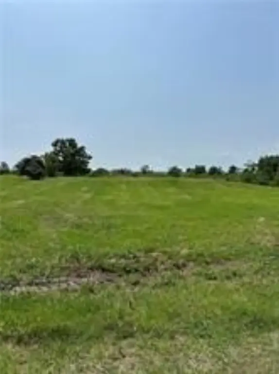 Picture 4
