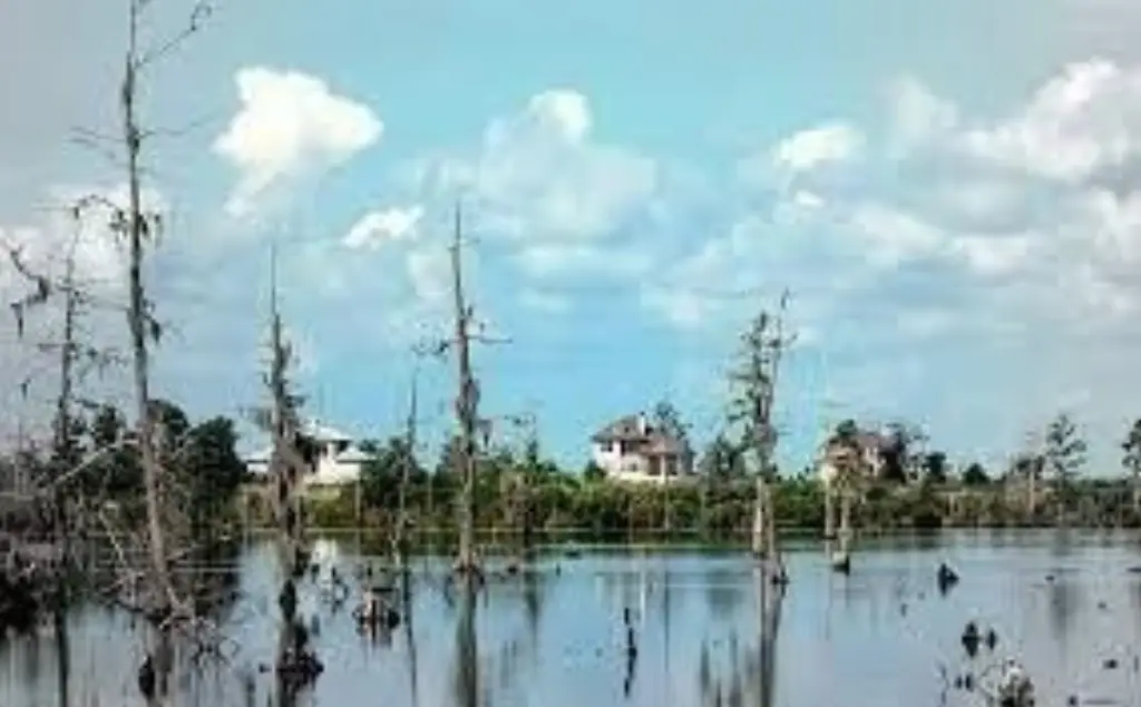 Picture 9