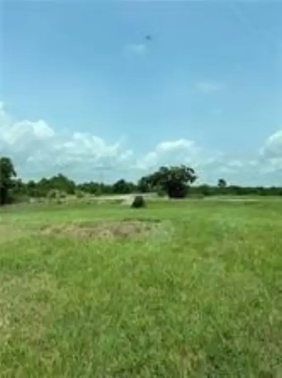 Picture 3