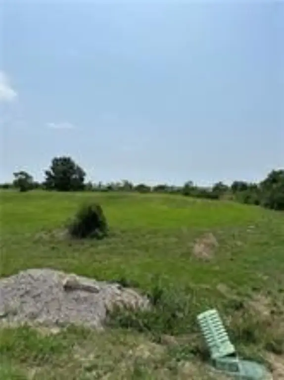 Picture 2