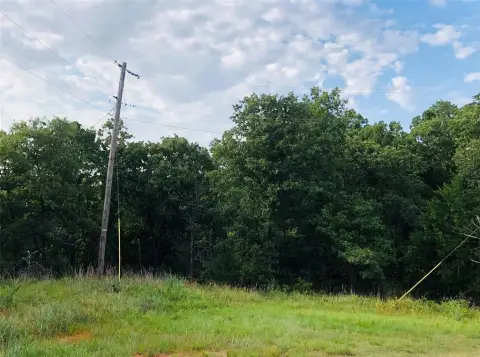 Wooded Acreage in Lexington, OK