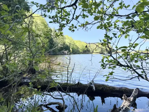 Waterfront Land on Stateline Lake