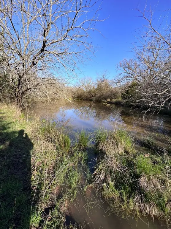 Picture 24