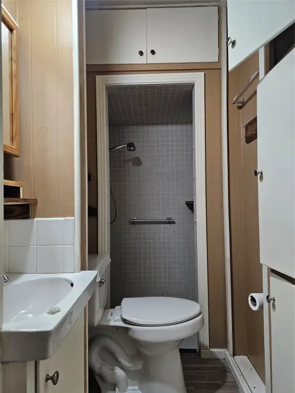 Picture 6