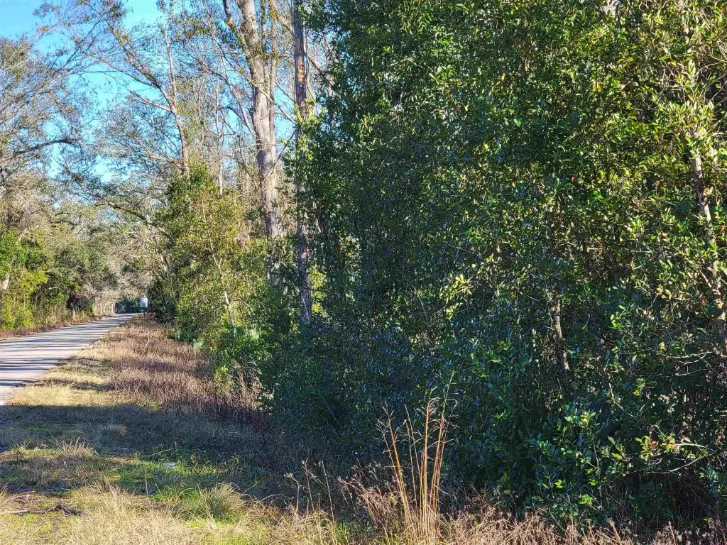 Picture 3