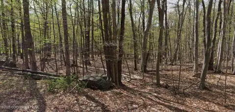 Residential Land in Lake Community