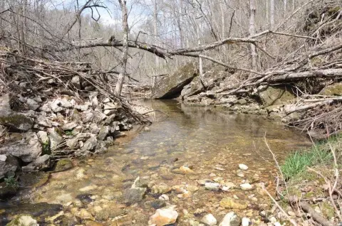 Ozark Acreage for Hunting, Recreation