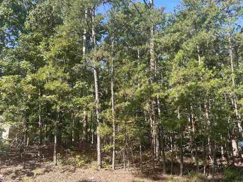 Wooded Residential Lot Near Lake