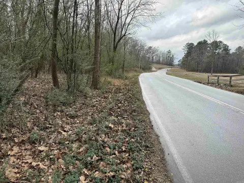 Undeveloped Wooded Land Auction