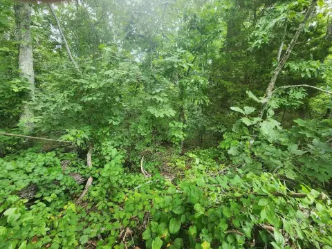 Unrestricted Lot with Paved Access