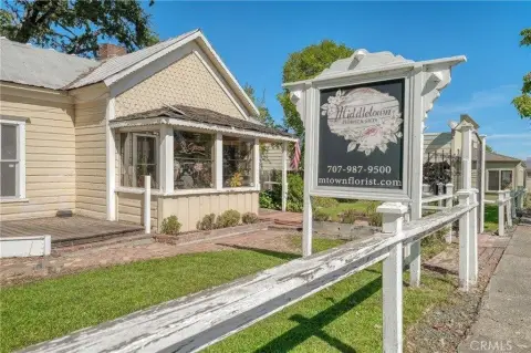 Established Floral Storefront Business