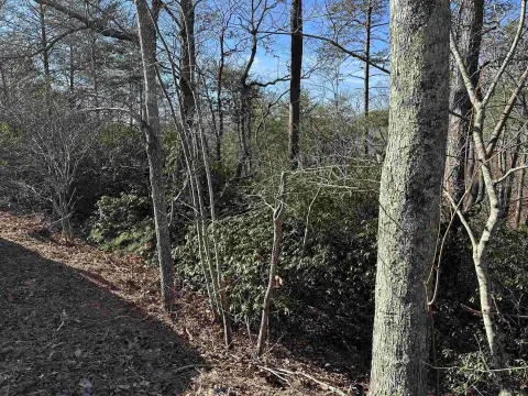 Residential Lot with Mountain Views