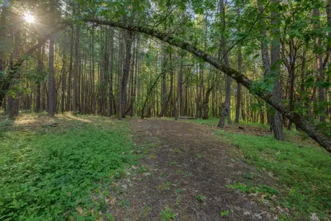 Residential Land in Established Neighborhood