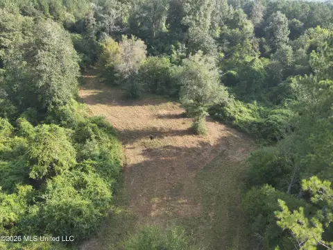 Timberland Hunting Property