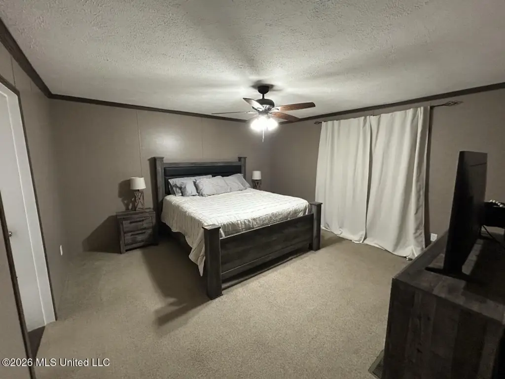 Picture 41