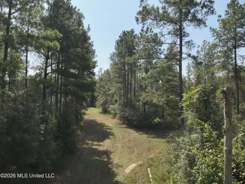 Timber Hunting Land
