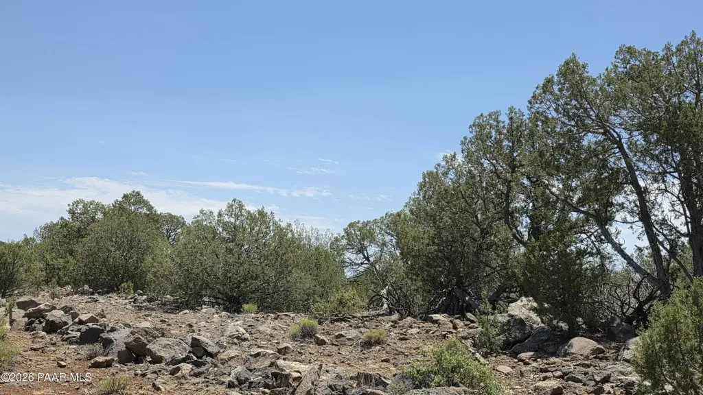 Picture 23