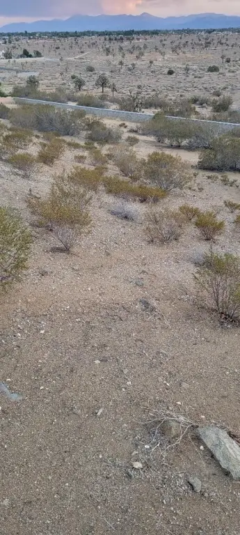 Picture 9