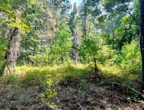 Elkhart Acreage: Rural Land Opportunity