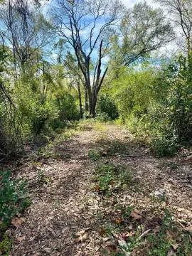 Residential Lot in Palestine, TX