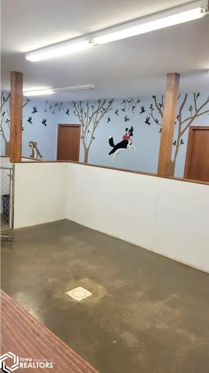 Picture 5