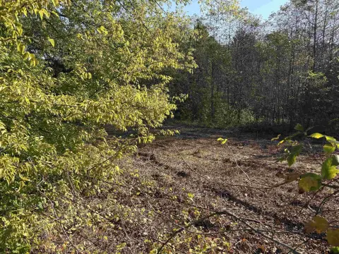 Brownsboro Acreage in Great Location