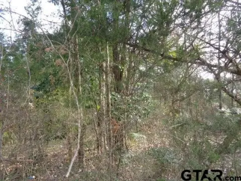 Lake Winnsboro Waterfront Acreage