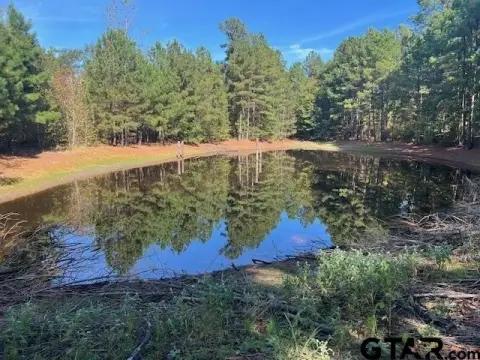 Wooded Acreage in East Texas