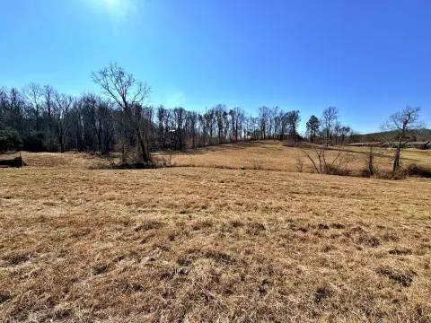 Decatur Land with Utilities