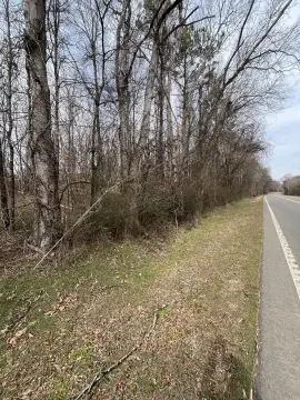 Decatur, TN Land Parcel