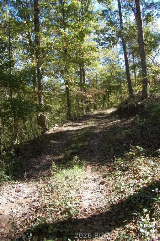Picture 6