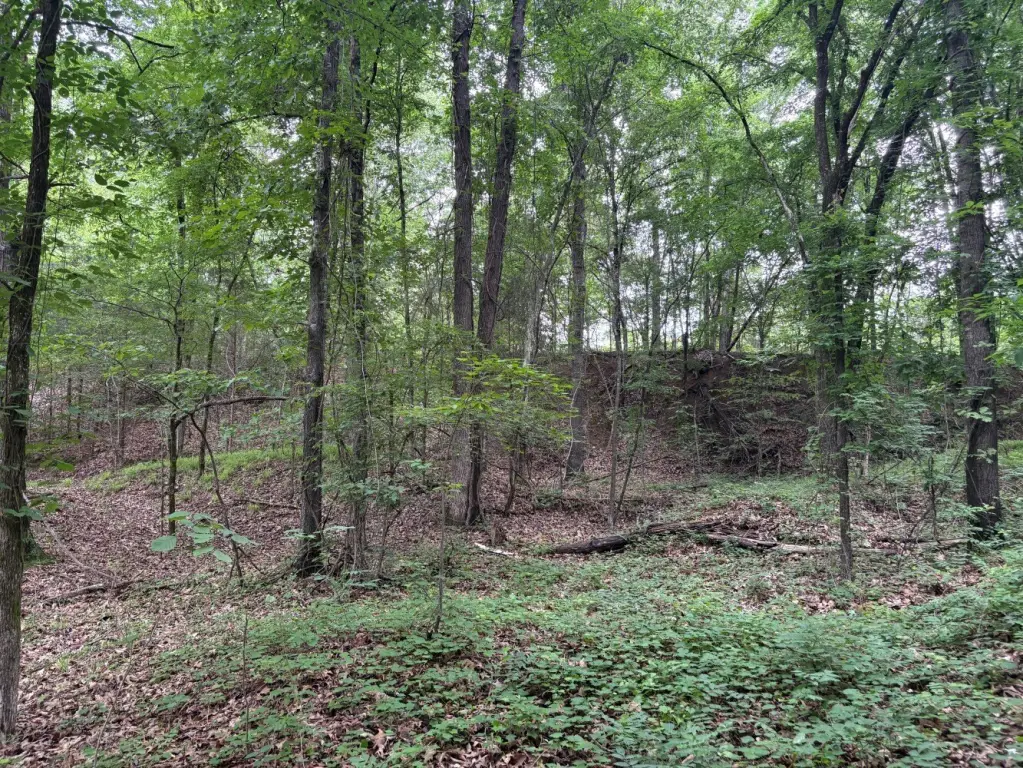 Picture 11