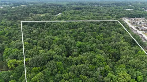 Cordova Vacant Land Opportunity