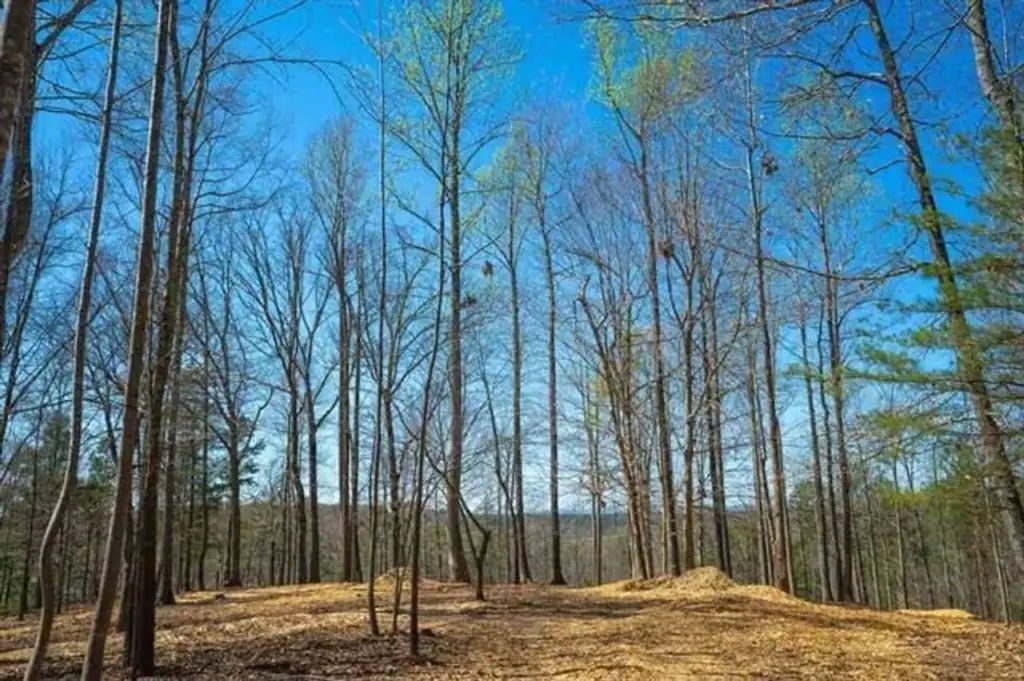 Picture 30