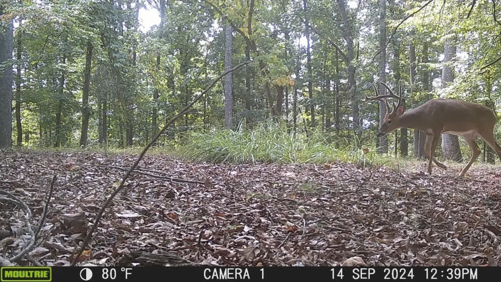 Picture 2