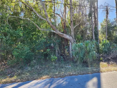 Homesite Near Moon Lake Park