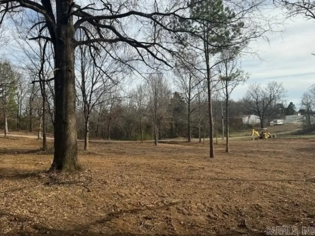 Picture 4