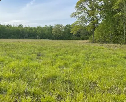 Unrestricted Acreage Near Natchez Trace