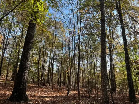 2.8 Acre Lot in Gated Community