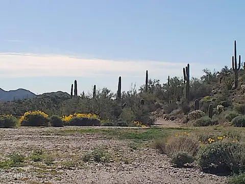 Scenic Land Bordering State Land